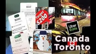 Toronto Uber Eats During Snow in Canada|Dufferin Mall Lunch #ubereats#letitsnow