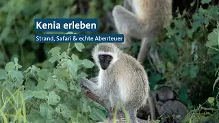 🌍 Kenia erleben mit alltours &ndash; Strand, Safari & echte Abenteuer | Mit @cariundhannes unterwegs 🐘🏝️