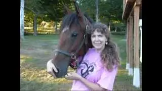 World's Favorite Curly Horse Video -- *RCR Ah-D-Das