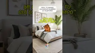 HO FATTO UNO SCHERZO TELEFONICO AL MIO MIGLIORE AMICO  #cat #memes #funnyshorts