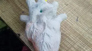 The Rat  heart  model  with clay ideas/ #science project# The Heart