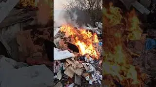 Кто это делает? #nature #природа #экология #ecology #toxic