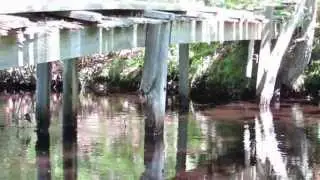 Coolest secret bridge on Cape Cod