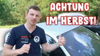 Top 5 Herbst-Killer f&uuml;r dein Auto &ndash; und wie du sie stoppst! 🚗❌🍁