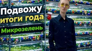 На что заработал на микрозелени за год?