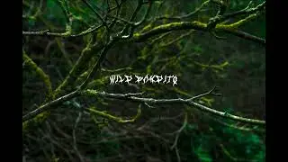 Doom Trap Vol.1