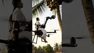 Harvesting process of coconuts by drone