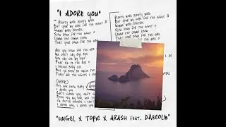 HUGEL & Topic & Arash feat. Daecolm - I Adore You (Andrew Pauli Remix)