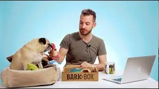 Unboxing the Chewrassic Bark BarkBox with Jonathan & Noodle! | June 2017