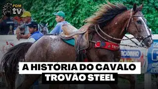 A HISTÓRIA DO CAVALO TROVÃO STEEL - PDM TV 