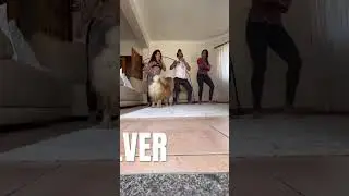 #envolver #song #muscula&ccedil;&atilde;o #trending