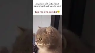 accha hone ka dard😭💔#tweetreels #memes #relatable #sad#broken