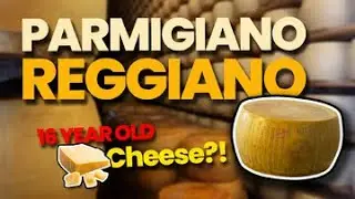 Parmigiano Reggiano Cheese Factory Tour: Journey to Parma