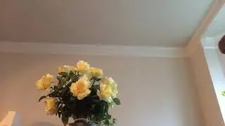#LastDaysMessage