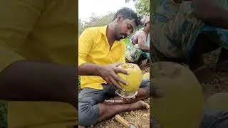 இளநீர் 😋 #farmingcouple #minivlog #shortsfeed #agriculture #coconut #summer #vivasayam #vivasayi #lk