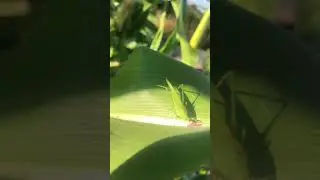 Surprise Weekend Visitors!