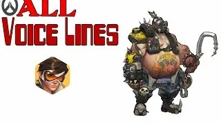 Overwatch: All Character Voice Lines