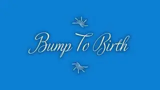 Bump To Birth Introduction