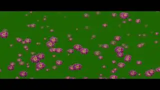 Flower Fall green screen effect