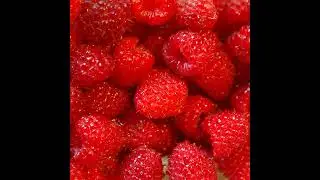 Inflammation: Survival, Chronic Fire, and Dietary Control