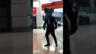 Dog's TikTok Dance #merrydawg #lumituber #vexpo