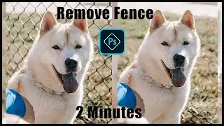 Remove Fence with 3 Simple Steps in Photoshop | Photoshop Tips