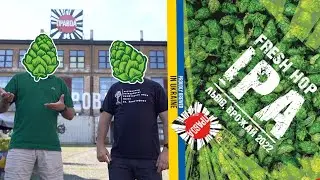 Де вирощують український хміль - Fresh Hop 2022 від Правди
