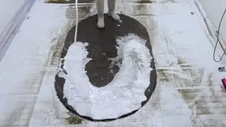 Top Cleaning Expert Reveals Best Rug Washing Techniques #ASMR