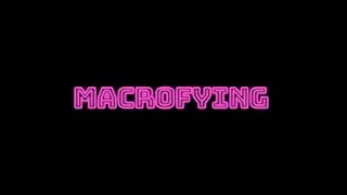 Macrofying [Watch in HD]