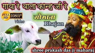 shree prakash das ji maharaj ke bhajan |गाया रे वाला कान जी रे | gaya re vala kan ji re