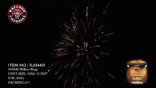 Willow King 500 Gram New 2020 Racoon Fireworks