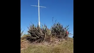 New Zealanders Climb to Higher Ground Following Tsunami Warning