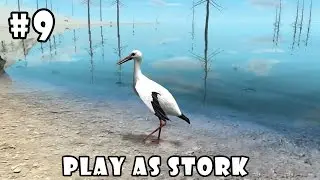 Ultimate Bird Simulator (by Gluten Free Games) Android Gameplay Part 9 [HD]