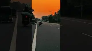Golden Ride 🤩🏍️#goldenhour #nature #sunset #shorts