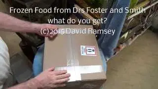 Frozen Fish Food Delivery