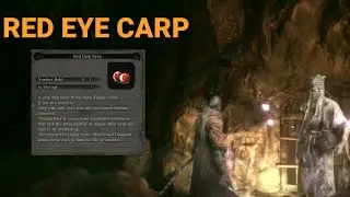 Sekiro Shadows Die Twice_(RED CARP EYE)