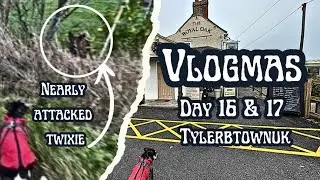 Vlogmas (Day 16 & 17) Twixie Was Under Attack & Banned From My Local Pub&hellip;@TylerBtownUk 