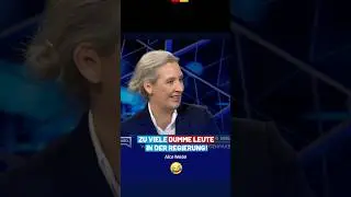 Alice Weidel rechnet mit Merz und Bas ab! - WELT-Interview - AfD-Fraktion im Bundestag