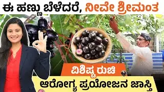 ಕಡಿಮೆ ವೆಚ್ಚದಲ್ಲಿ ನೇರಳೆ ಕೃಷಿ ಮಾಡಿ, ಉತ್ತಮ ಆದಾಯ ಗಳಿಸಿ | Nerale Hannu Farming | Jamun Fruit Farming