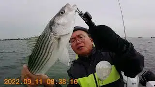 San Joaquin River, jigging stripers. Learned something new