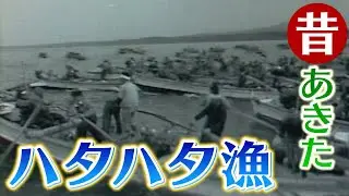 手漕ぎ舟！ハタハタ漁