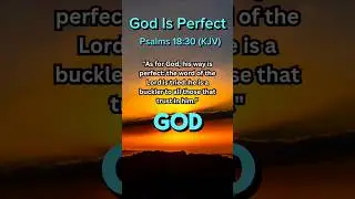 God Is Perfect | The Preaching Piper #shorts #verseoftheday #christian