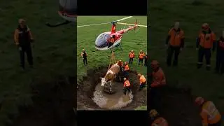 Dramatic Cow Rescued by Helicopter in United Kingdom #shorts #animalrescue #love #nature #survival