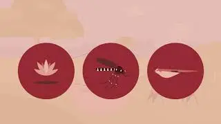 ALIEN Challenge