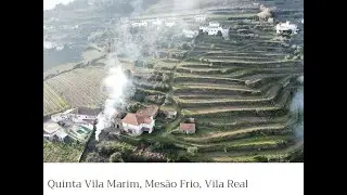 Live In The Douro Valley for UNDER &euro;300K! A Little TLC & A Big Vision Is All You Need! #portugal