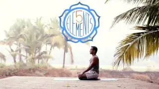 5 Elements Yoga demonstration with Vinay Jesta