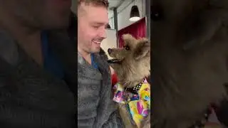 Иэн и Хакер из CBBC ВОССОЕДИНИЛИСЬ!