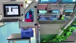 Count & Packing Machine | Tablet Counting machine | Counting filling and Packing Machine