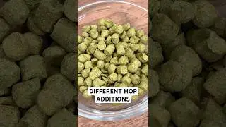 Different Hop Additions when Making Beer at Home