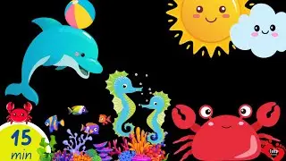 Baby Sensory Sea Animals | Calm High-Contrast Visuals